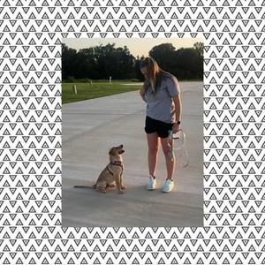 Meet your Posher, Shea